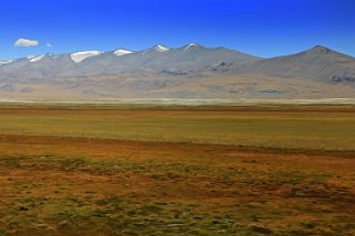 Tso Kar Ladakh 2016